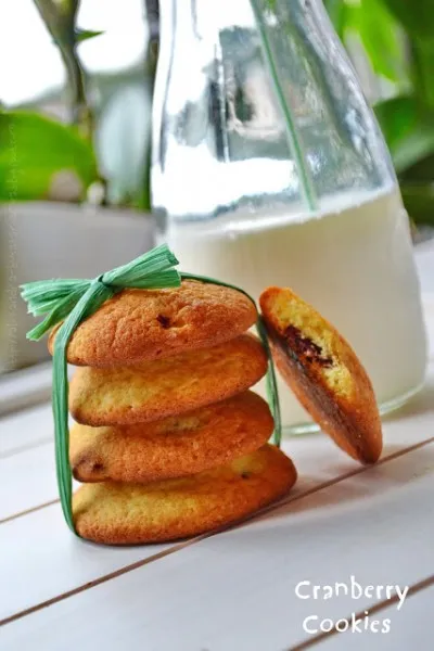 Cranberry Chocolate Cookies