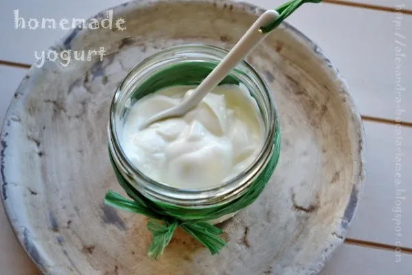 Homemade Yogurt