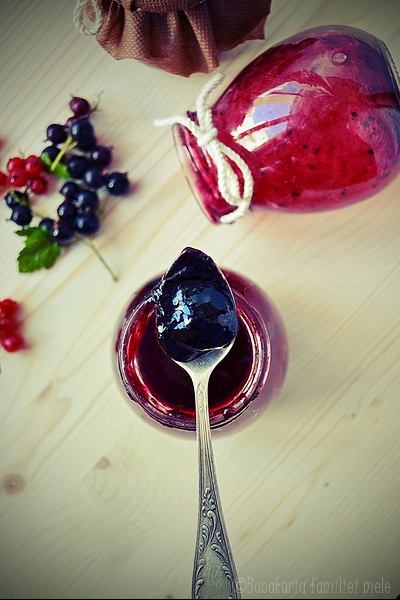 Gem de coacăze … the best jam is home made jam !!!