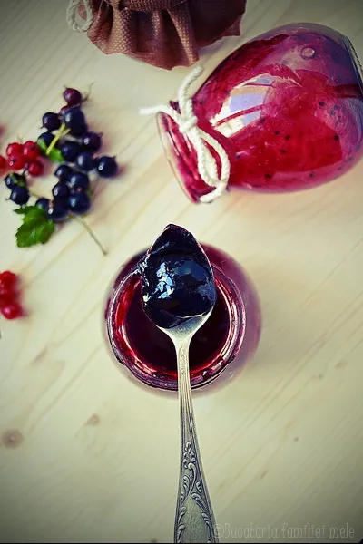 Gem de coacăze … the best jam is home made jam !!!