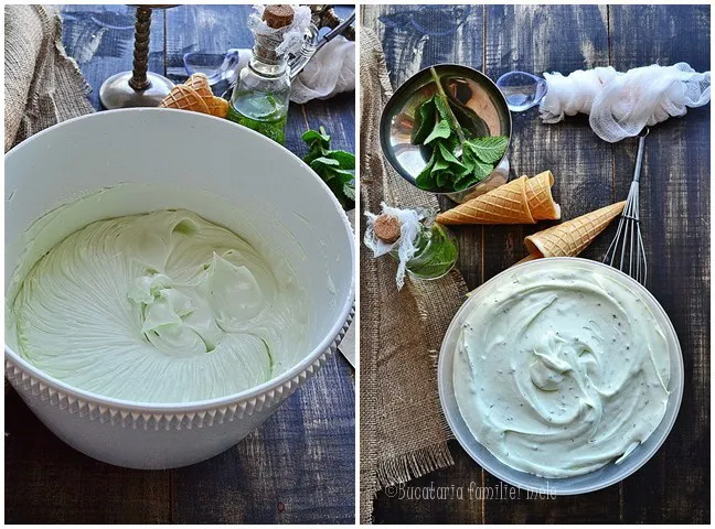 Mint Chocolate Chip Ice Cream