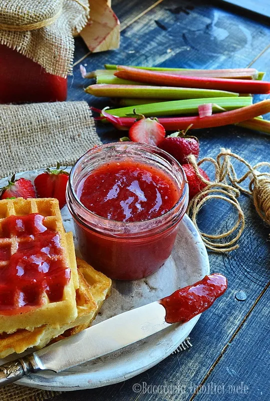 dulceata de capsuni cu rabarbar