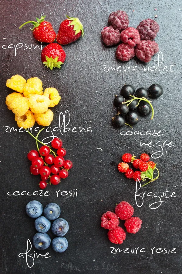 fructe de padure