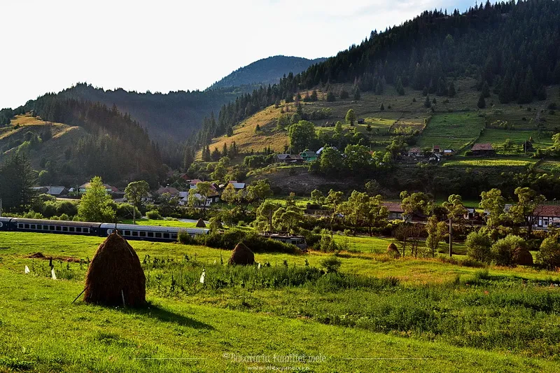 15tren