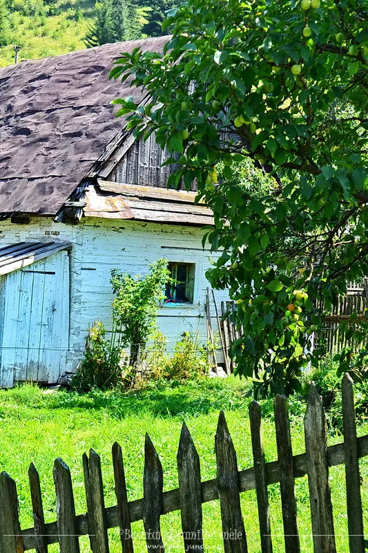 4casa veche