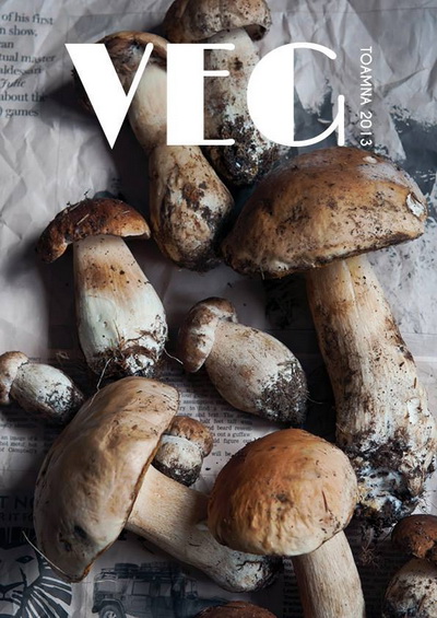Revista VEG – Toamna 2013 / Numarul 2