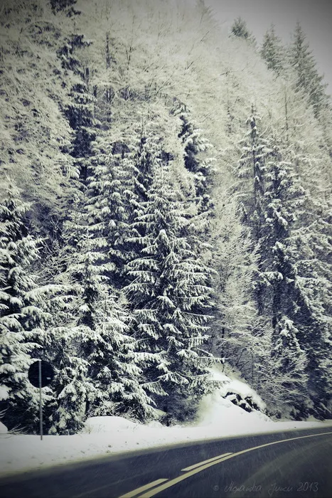 valea muresului