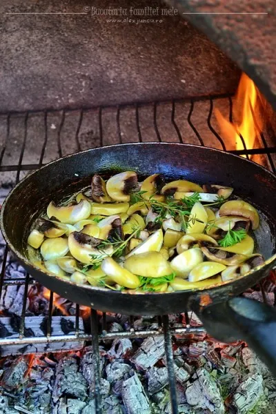 Ciuperci trase la tigaie