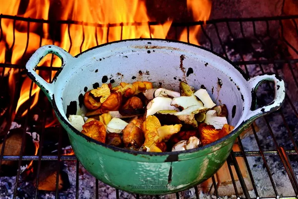 polenta cu hribi