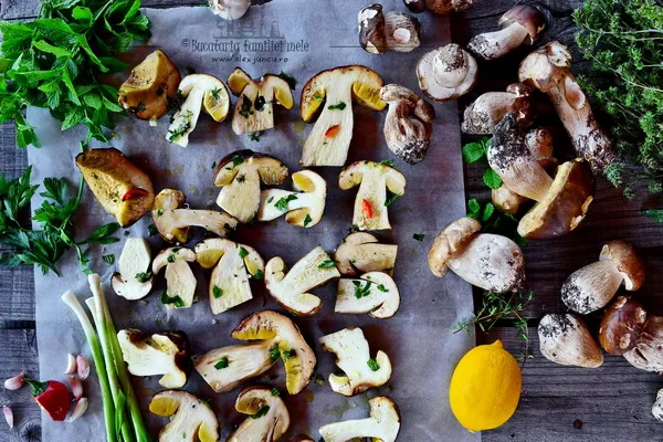 porcini