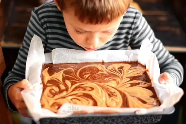 Brownie sau negresă Brownie sau negresă