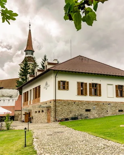 Casa Kraus -Criț