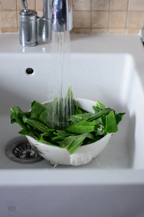 Pesto de leurda - Bucataria familiei mele