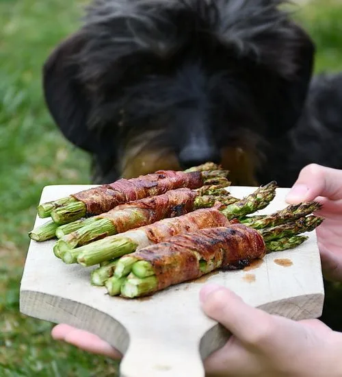 Sparanghel învelit în bacon la grătar