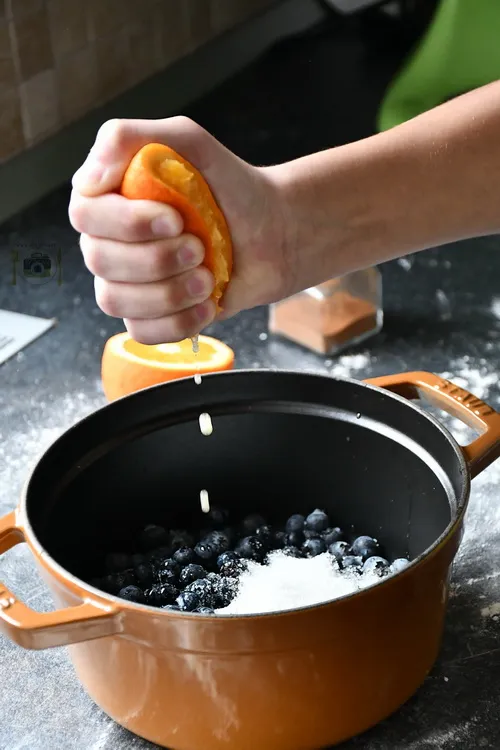 Dulceata de afine - Bucătăria familiei mele- www.alexjuncu.ro