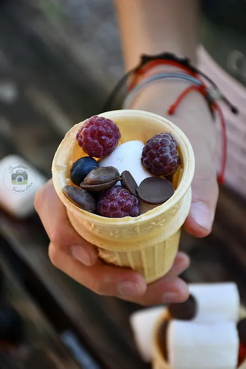 S'mores cu ciocolată - Bucătăria familiei mele - www.alexjuncu.ro